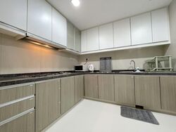 The Metropolitan Condominium (D3), Condominium #558143811